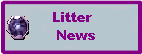 Litter News